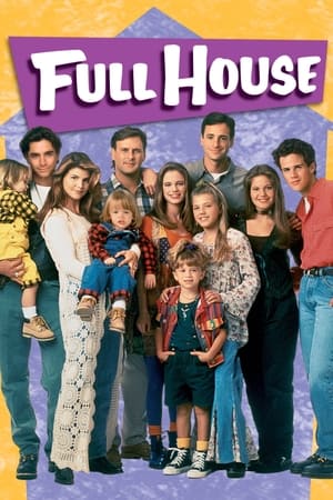 Regarder La Fête à la maison en Streaming