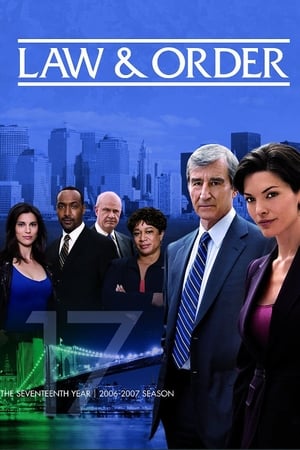 New York, police judiciaire Saison 17 Episode 5