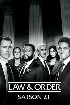 New York, police judiciaire Saison 21 Episode 5