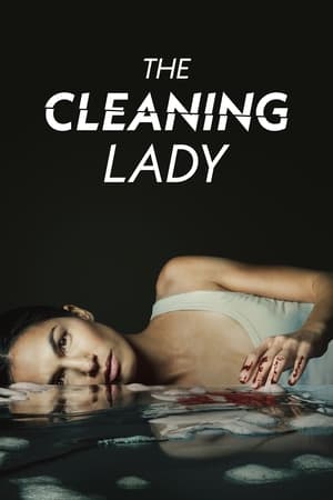 The Cleaning Lady Saison 3 Episode 5